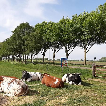Mahil-Laya Panzió Meppel Kültér fotó