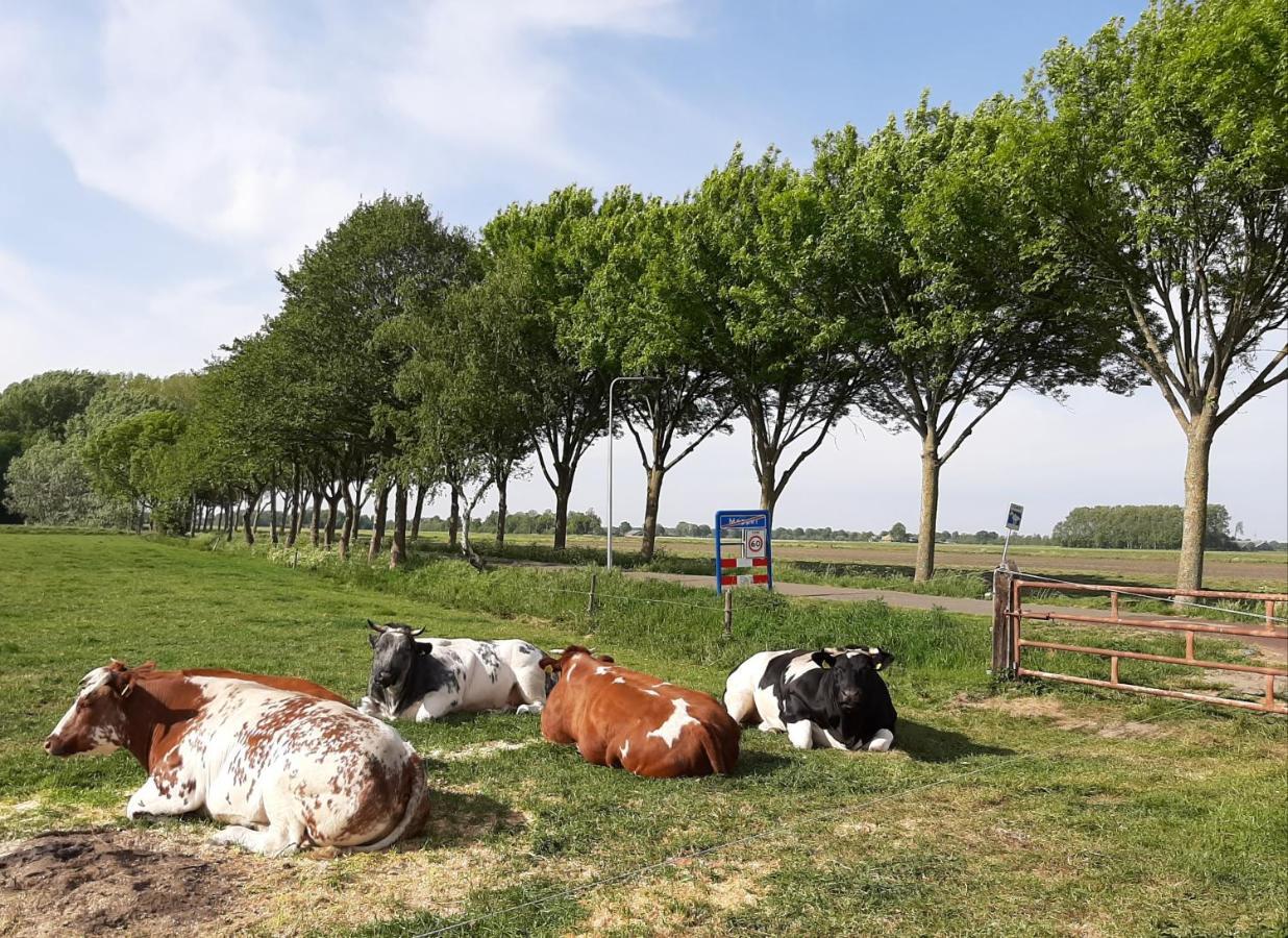 Mahil-Laya Panzió Meppel Kültér fotó